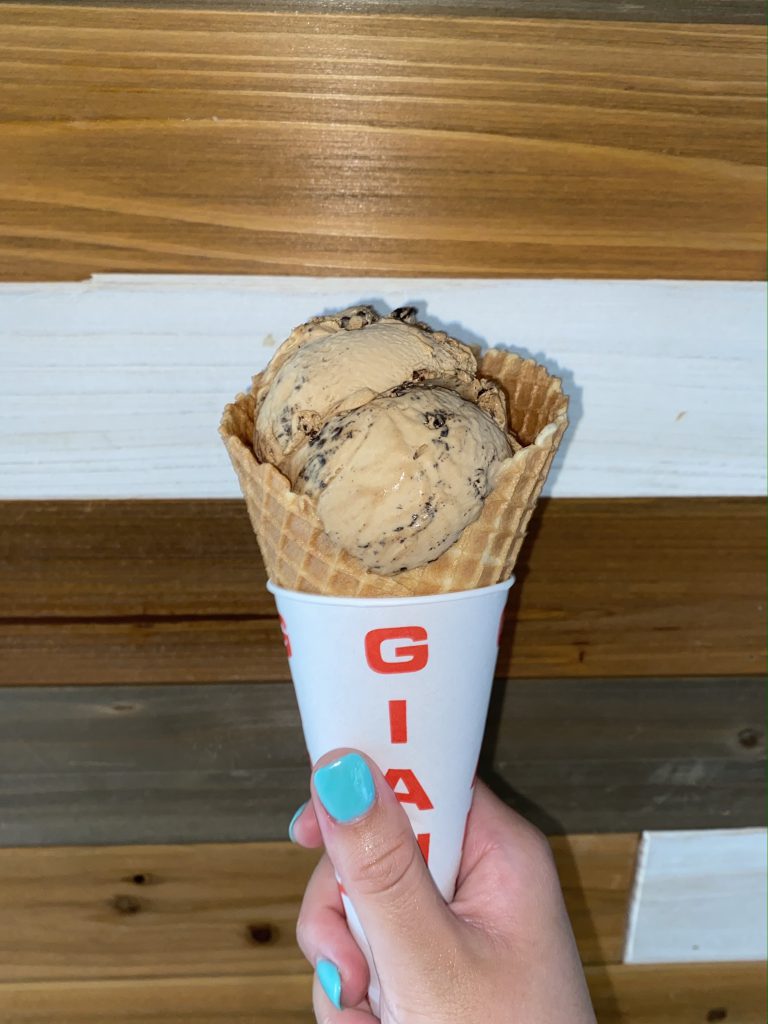 VG FChips